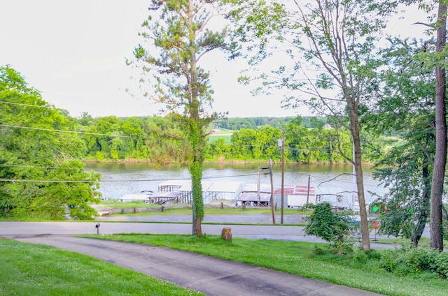 1176 Seven Mile Ferry Rd N, Clarksville, TN 37040 - photo 65