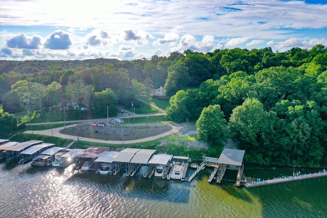 1176 Seven Mile Ferry Rd N, Clarksville, TN 37040 - photo 3