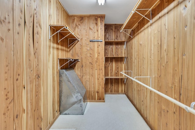 1760 Camp Branch Rd, Mount Pleasant, TN 38474 - walk in closet with carpet flooring