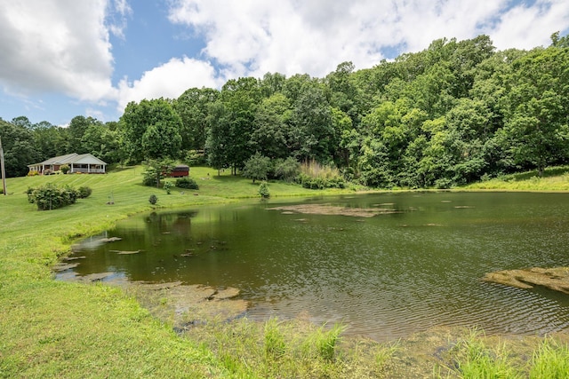 1760 Camp Branch Rd, Mount Pleasant, TN 38474 - water view