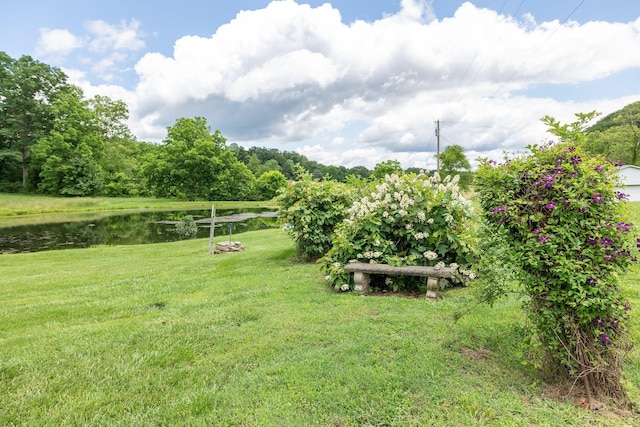 1760 Camp Branch Rd, Mount Pleasant, TN 38474 - view of green lawn with a water view