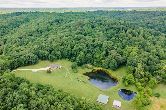 1760 Camp Branch Rd, Mount Pleasant, TN 38474 - view of rural area featuring a forest and a large body of water