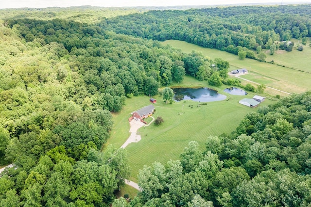 1760 Camp Branch Rd, Mount Pleasant, TN 38474 - drone / aerial view of a heavily wooded area and a nearby body of water