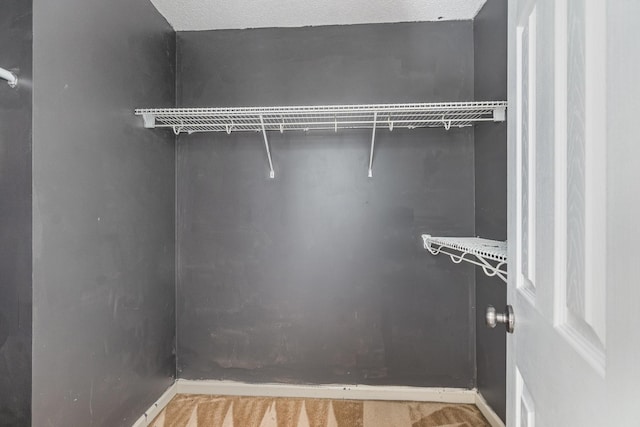 807 Sugarcane Way, Clarksville, TN 37040 - view of closet