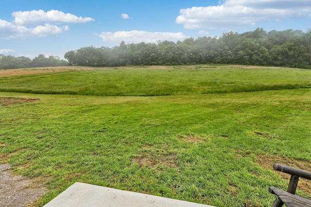 2955 Spring Place Rd, Belfast, TN 37019 - view of grassy yard with a rural view