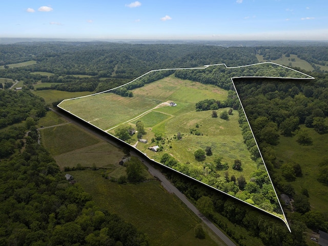 2955 Spring Place Rd, Belfast, TN 37019 - view of property location featuring property parcel outlined and a forest