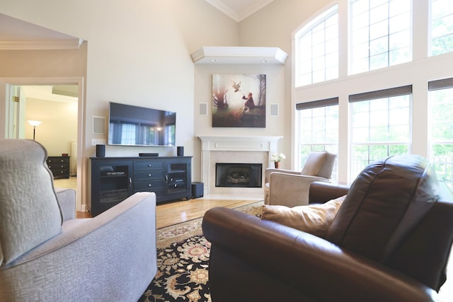 1005 Peck Pl, Hendersonville, TN 37075 - living area featuring ornamental molding, a high end fireplace, a towering ceiling, wood finished floors, and plenty of natural light