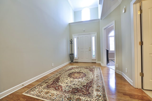 1005 Peck Pl, Hendersonville, TN 37075 - entryway featuring ornamental molding, light wood-type flooring, baseboards, and a high ceiling