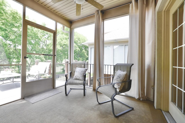 1005 Peck Pl, Hendersonville, TN 37075 - sunroom / solarium featuring a ceiling fan and carpet floors