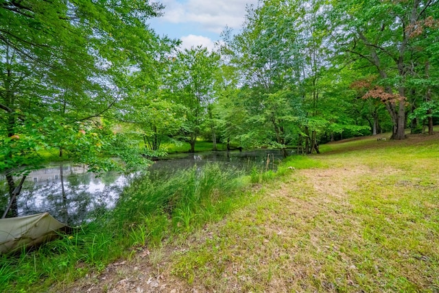 3270 Lylewood Rd, Woodlawn, TN 37191 - photo 22