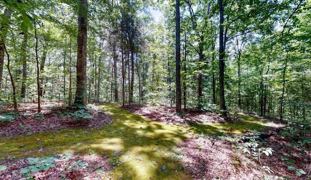 3270 Lylewood Rd, Woodlawn, TN 37191 - photo 29