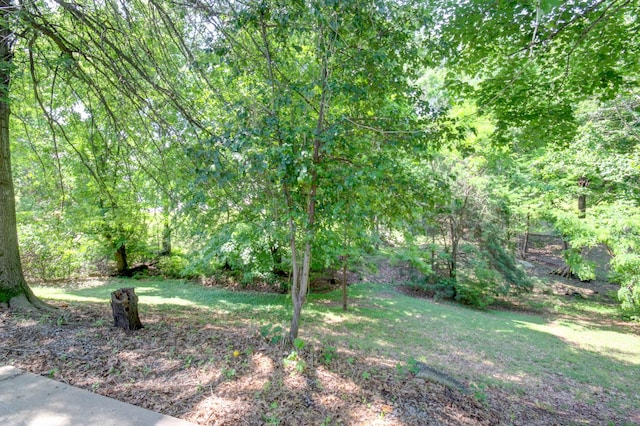 2878 Gusty Ln, Clarksville, TN 37043 - view of grassy yard