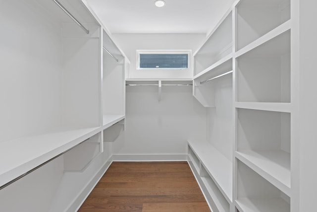 spacious closet featuring dark wood finished floors