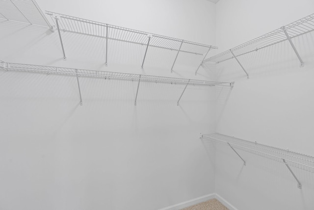 view of walk in closet