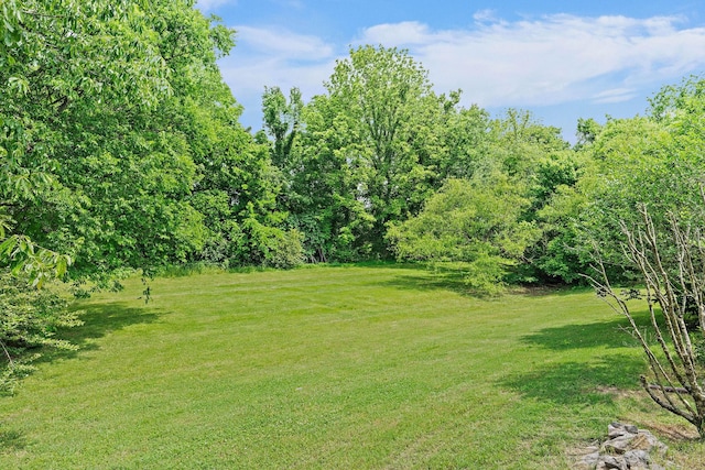 view of green lawn
