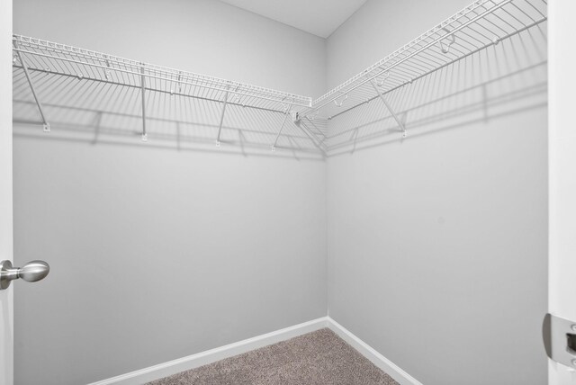 110 Davis Ridge Ln, Clarksville, TN 37040 - photo 18