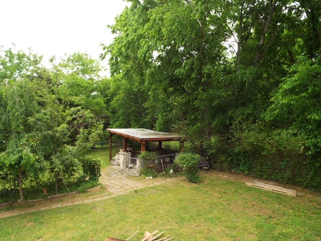 165 E Main St, Alexandria, TN 37012 - view of grassy yard