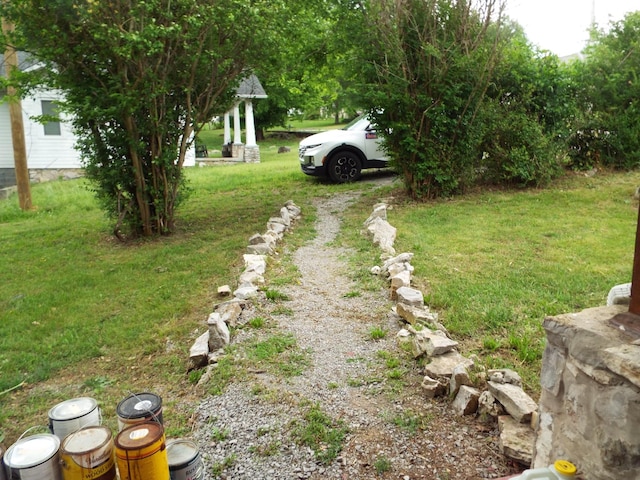 165 E Main St, Alexandria, TN 37012 - view of green lawn