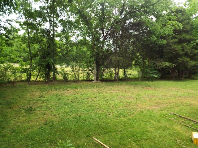165 E Main St, Alexandria, TN 37012 - view of yard