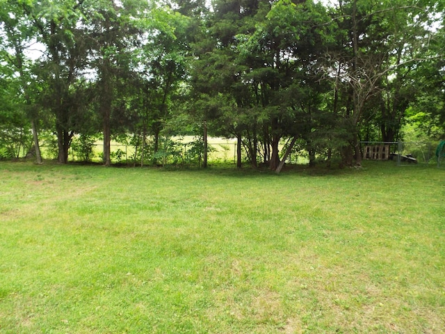 165 E Main St, Alexandria, TN 37012 - view of yard