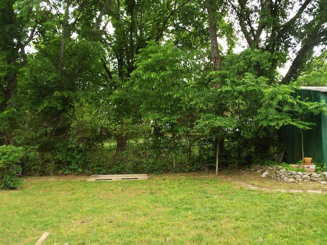 165 E Main St, Alexandria, TN 37012 - view of yard