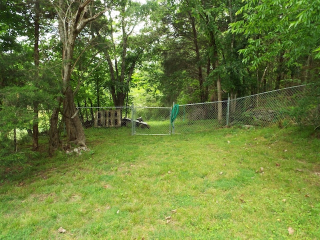 165 E Main St, Alexandria, TN 37012 - view of yard
