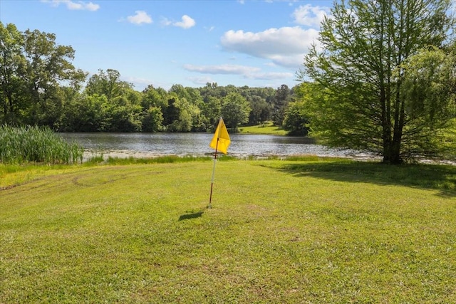 1209 Corlew Dr, Burns, TN 37029 - view of grassy yard featuring a water view and a forest view
