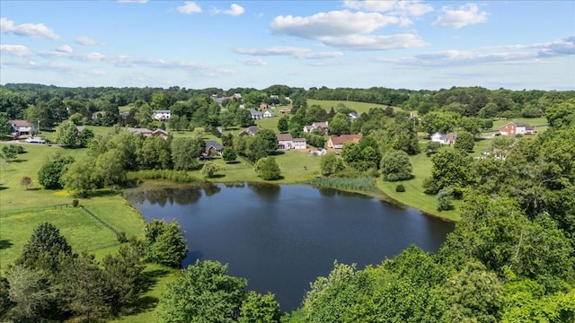 1209 Corlew Dr, Burns, TN 37029 - aerial view of a nearby body of water