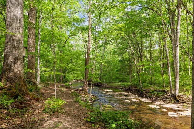 1209 Corlew Dr, Burns, TN 37029 - view of wooded area