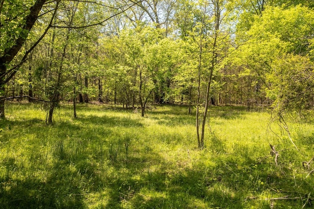 52 Chapman Dr, Flintstone, GA 30725 - photo 5