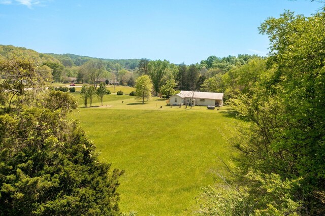 52 Chapman Dr, Flintstone, GA 30725 - photo 34