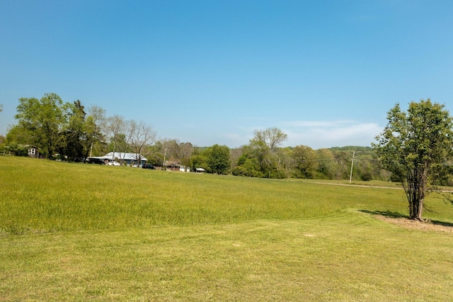52 Chapman Dr, Flintstone, GA 30725 - photo 8