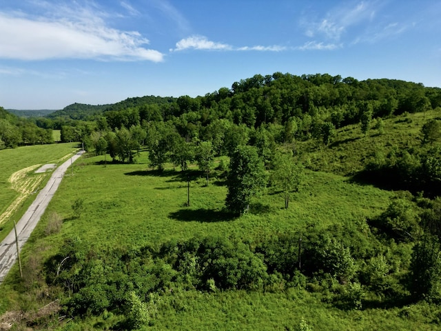 5290 Bedford Creek Rd, Franklin, TN 37064