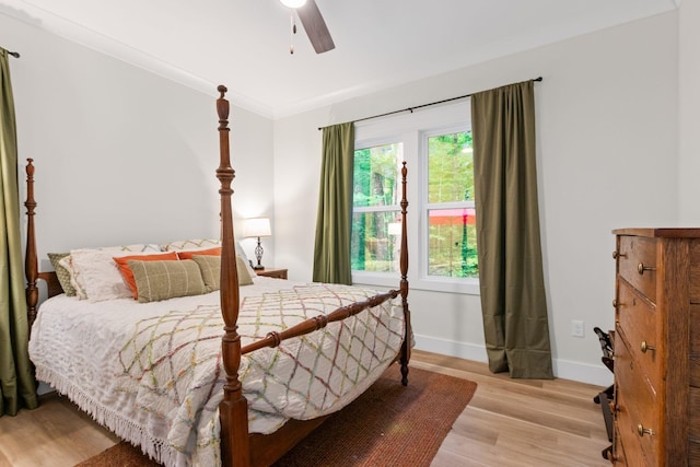 120 Destineys Way, Gruetli Laager, TN 37339 - bedroom with light wood-style floors, baseboards, and ceiling fan