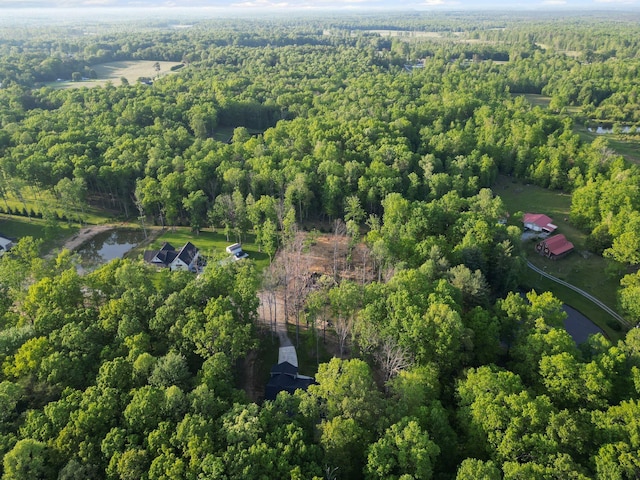 120 Destineys Way, Gruetli Laager, TN 37339 - aerial view of property's location featuring a forest and a nearby body of water