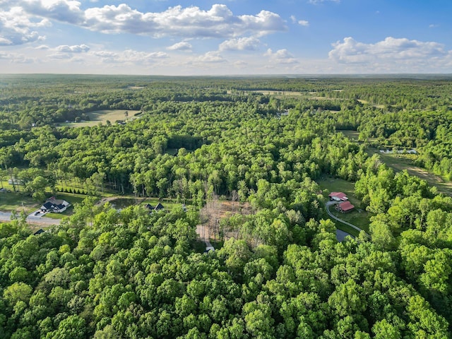 120 Destineys Way, Gruetli Laager, TN 37339 - drone / aerial view of a forest