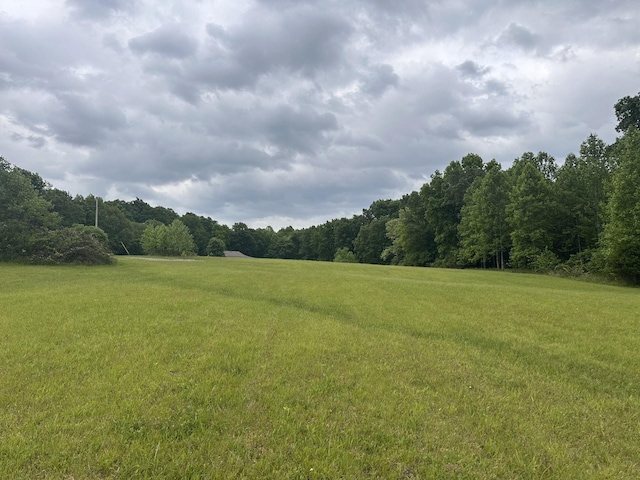 1249C Reese Rd, Bethpage, TN 37022
