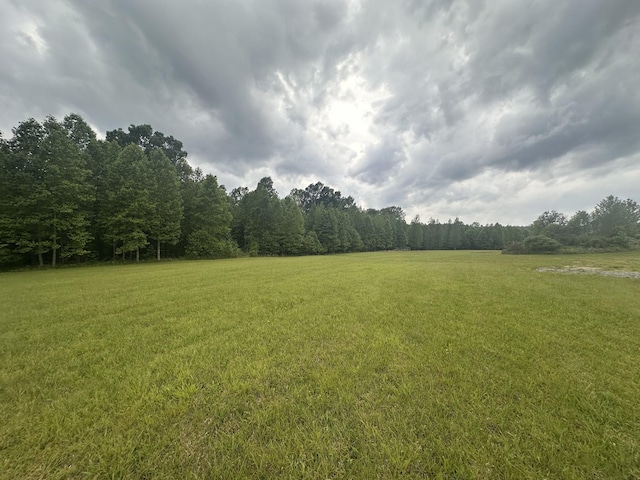 1249C Reese Rd, Bethpage, TN 37022