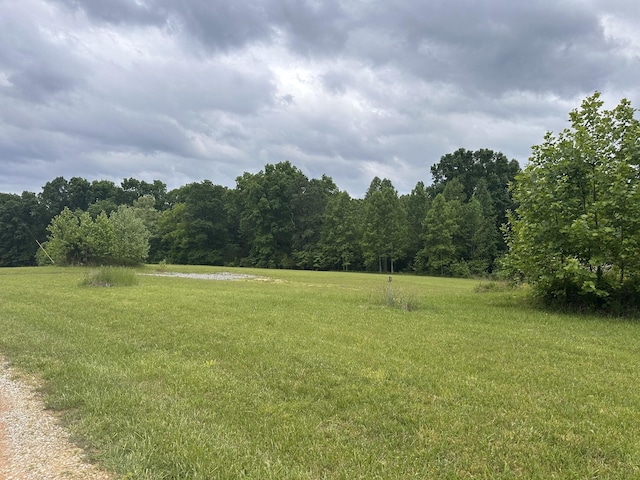 1249C Reese Rd, Bethpage, TN 37022