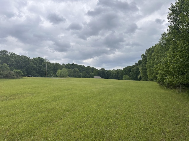 1249C Reese Rd, Bethpage, TN 37022