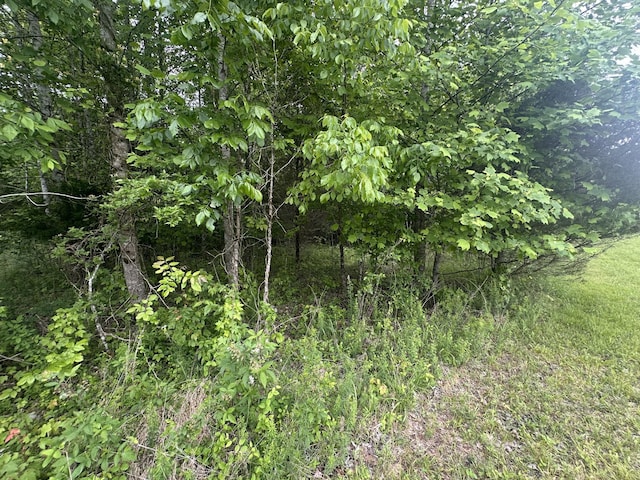 1249C Reese Rd, Bethpage, TN 37022