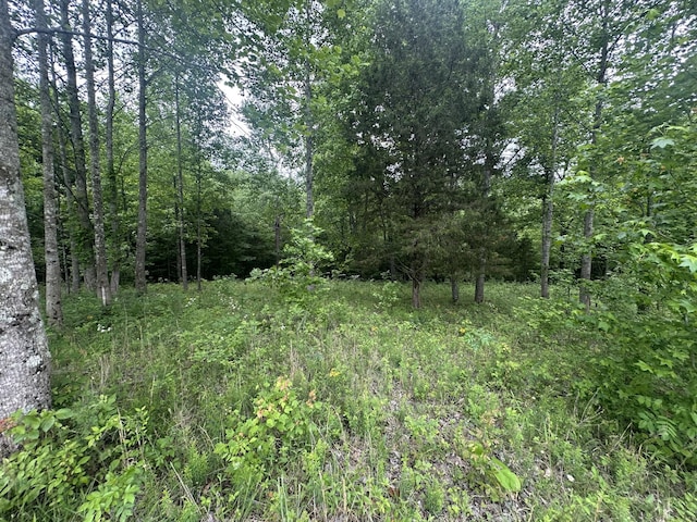 1249C Reese Rd, Bethpage, TN 37022