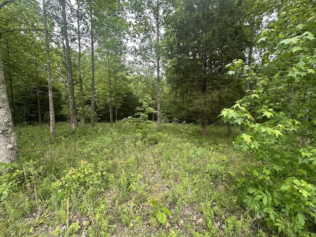 1249C Reese Rd, Bethpage, TN 37022