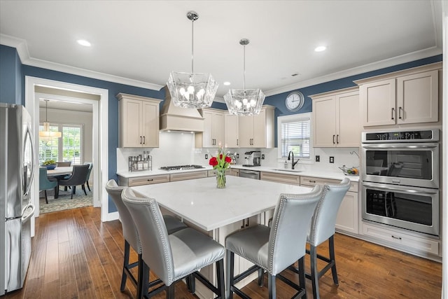 429 Finnhorse Ln, Franklin, TN 37064 - kitchen featuring stainless steel appliances, a sink, a chandelier, custom exhaust hood, and backsplash
