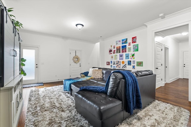 429 Finnhorse Ln, Franklin, TN 37064 - living area featuring wood finished floors, ornamental molding, and baseboards