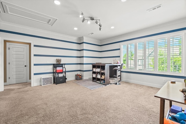 429 Finnhorse Ln, Franklin, TN 37064 - miscellaneous room with attic access, crown molding, carpet, baseboards, and recessed lighting