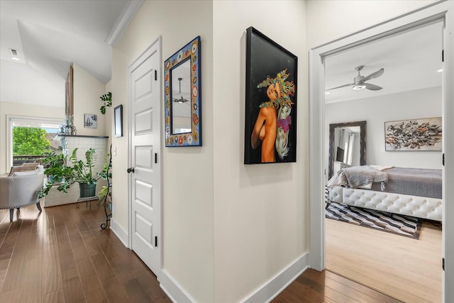 429 Finnhorse Ln, Franklin, TN 37064 - hall featuring dark wood-type flooring and baseboards