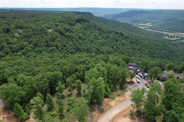 525 Moonlight Ln, Jasper, TN 37347