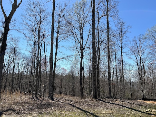 525 Moonlight Ln, Jasper, TN 37347