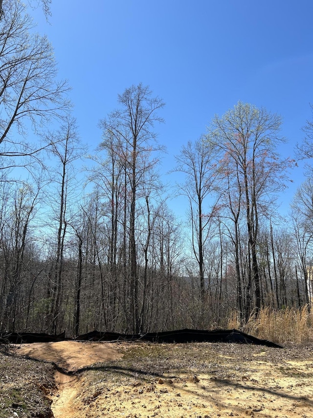 525 Moonlight Ln, Jasper, TN 37347